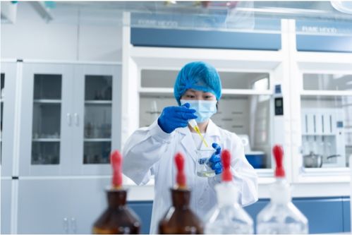 全產(chǎn)業(yè)鏈鑄就卓越品質(zhì)，一站式服務(wù)賦能共贏未來——康西爺食品的技術(shù)服務(wù)之道